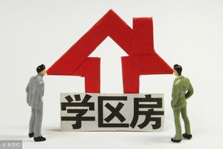 最新泰安市小區(qū)學(xué)區(qū)劃分明細(xì)表，速來(lái)轉(zhuǎn)發(fā)收藏！