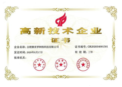 喜報 新青羅入選合肥市2021年度高成長企業(yè)，技術服務領域再創(chuàng)佳績