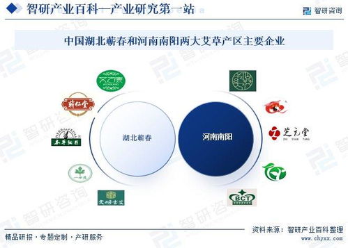 艾草行業市場動態與投資前景分析 技術創新驅動下的發展新機遇